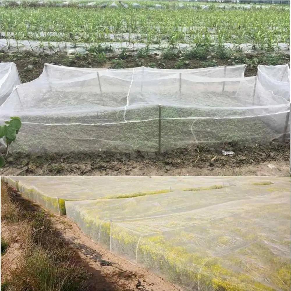Filet de jardinage 60/80/100 mailles, filet anti-insectes, filet anti-oiseaux, filet de protection e