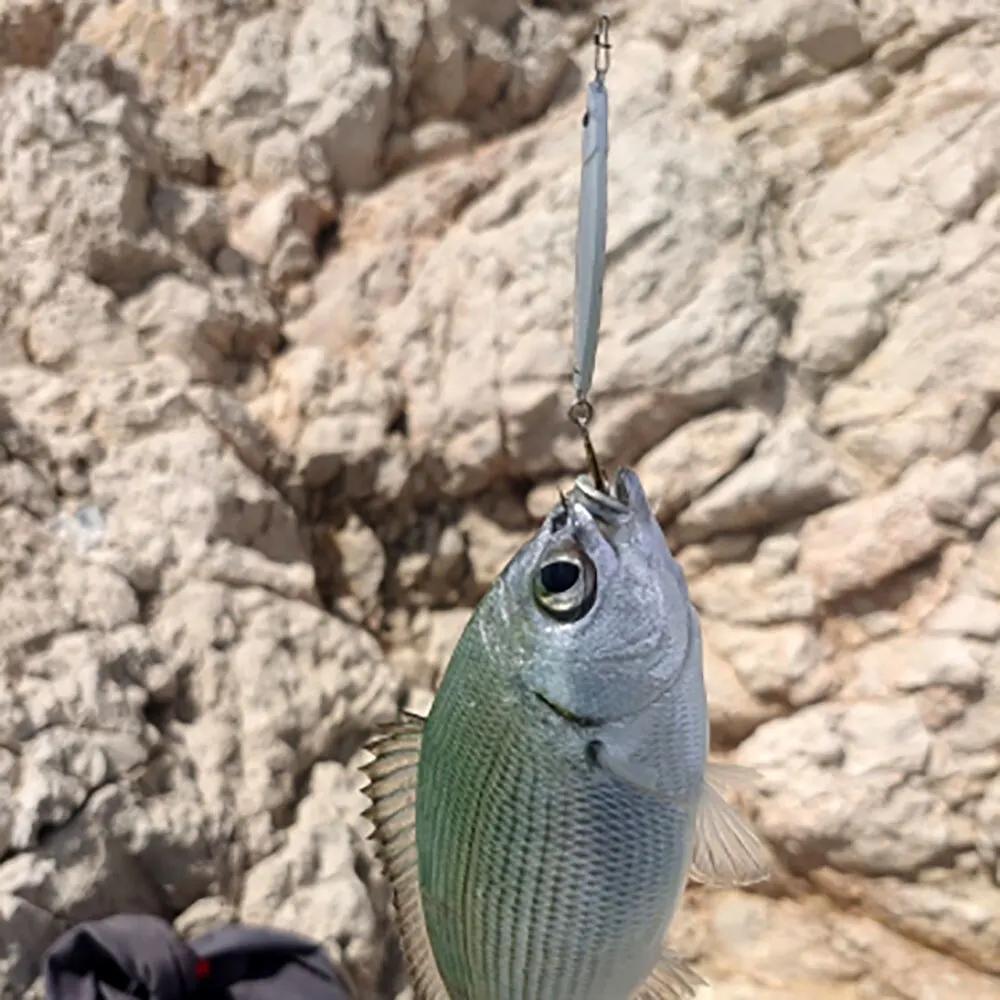 Leurre de pêche en métal avec hameçon coulé sur le rivage, appât Él, couverture laser, brochet de me