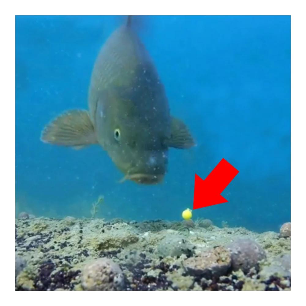 10 pièces/lot pêche à la carpe Pop Ups bouillettes perles flottant EVA balle saveur ligne principale