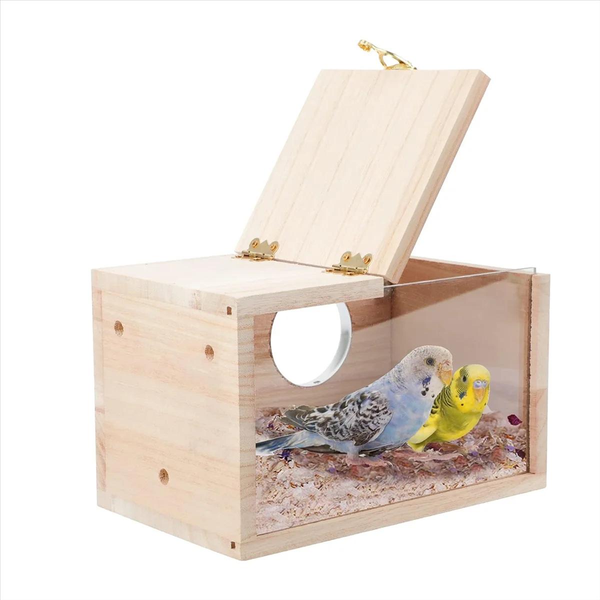 Boîte de nidification transparente pour perruche, nichoir en bois, perroquet, calopsitte, inséparabl