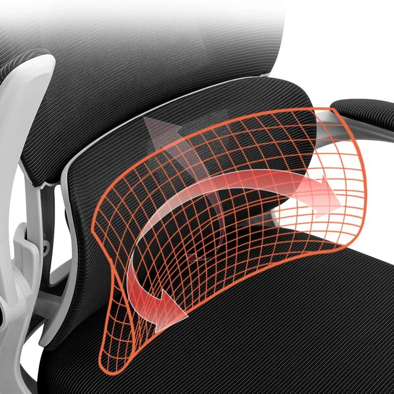 Chaise de bureau ergonomique, chaise de bureau confortable pour étudiants avec Support dorsal, chais