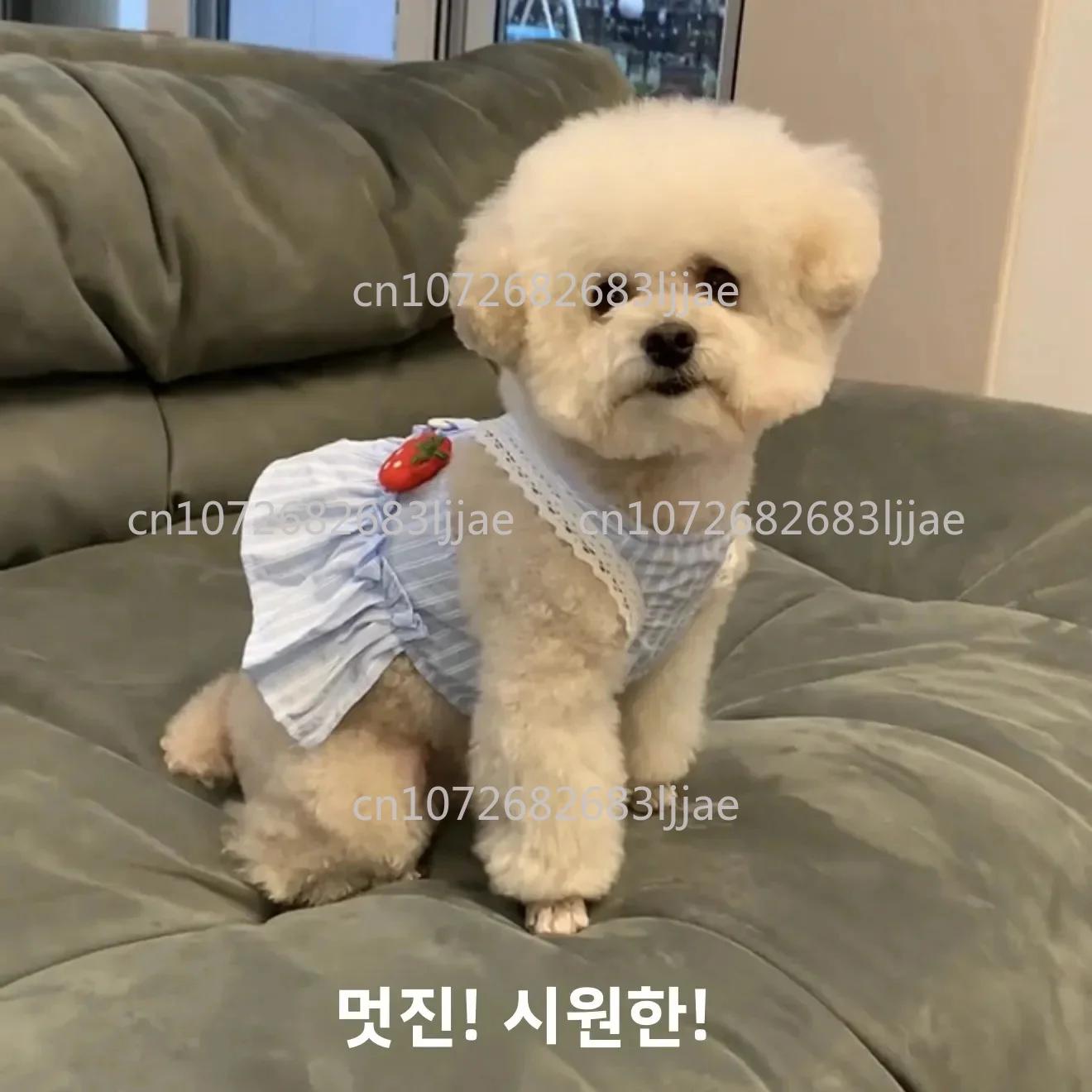 Vêtements pour petits chiens, jupe à laçage pour chiot Bichon, costume pour chien, nouvelle robe d'é