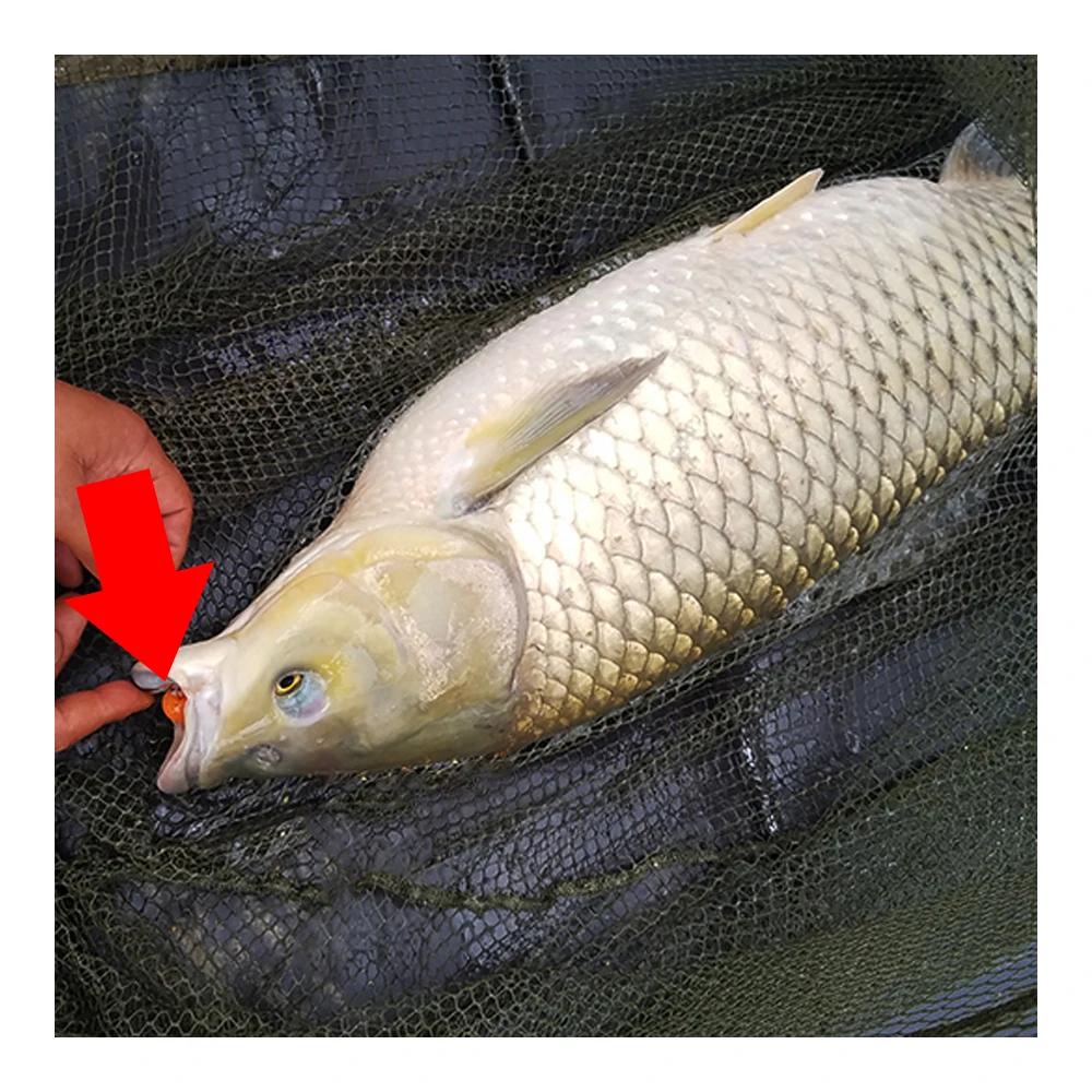 10 pièces/lot pêche à la carpe Pop Ups bouillettes perles flottant EVA balle saveur ligne principale