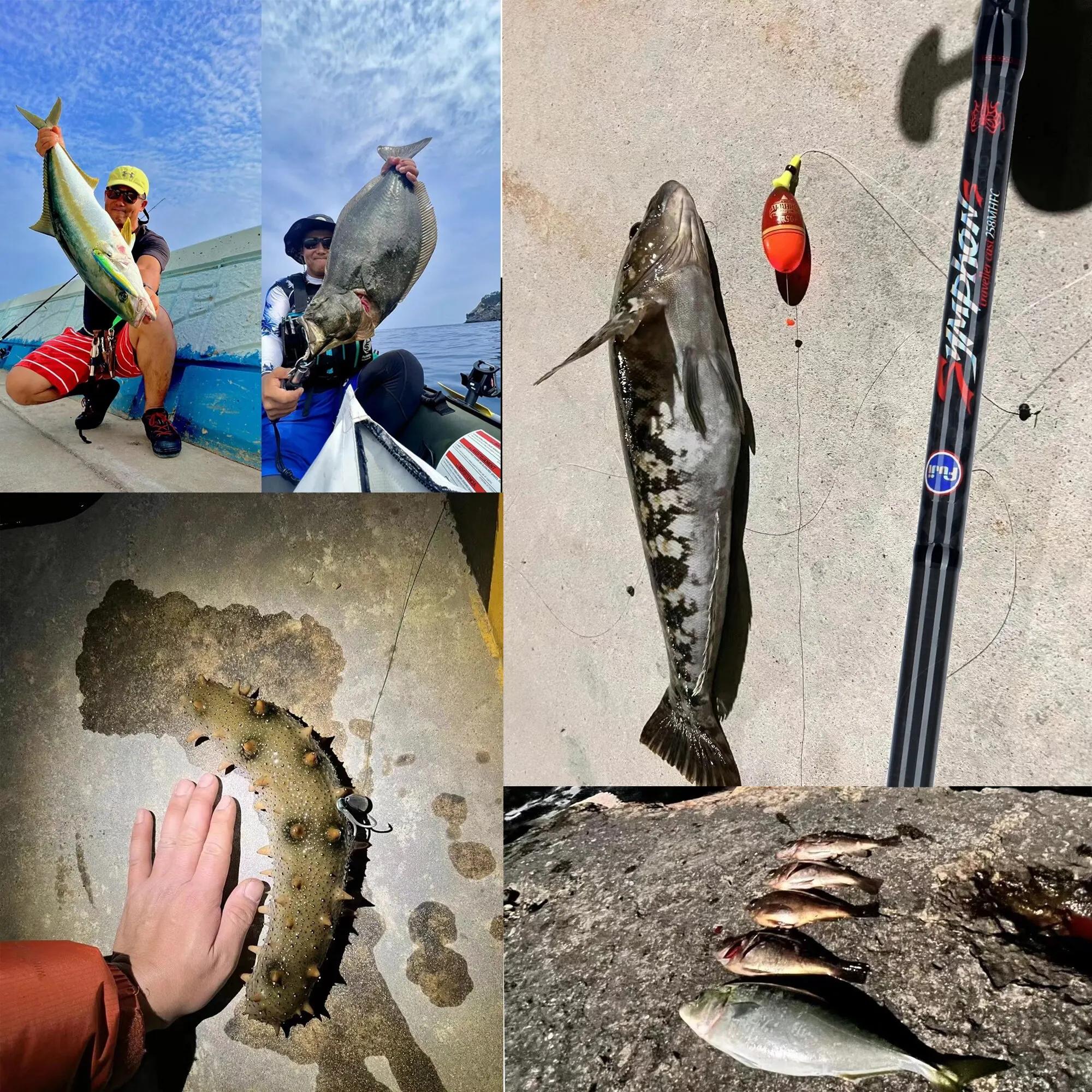 BIUTIFU-Leurre de pêche en carbone Spinning, Mini Rock Fishing, Fuji Baitcasting, Phishger Fast 5-42
