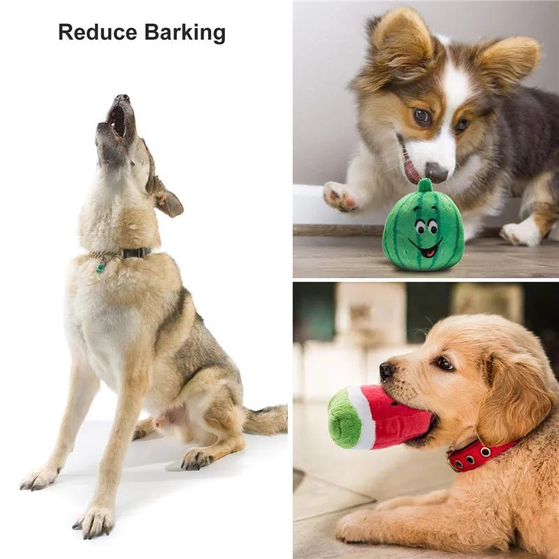 Jouets en peluche grinçants pour chiens, 10/20/50 paquets, jouets en peluche mignons pour petits et