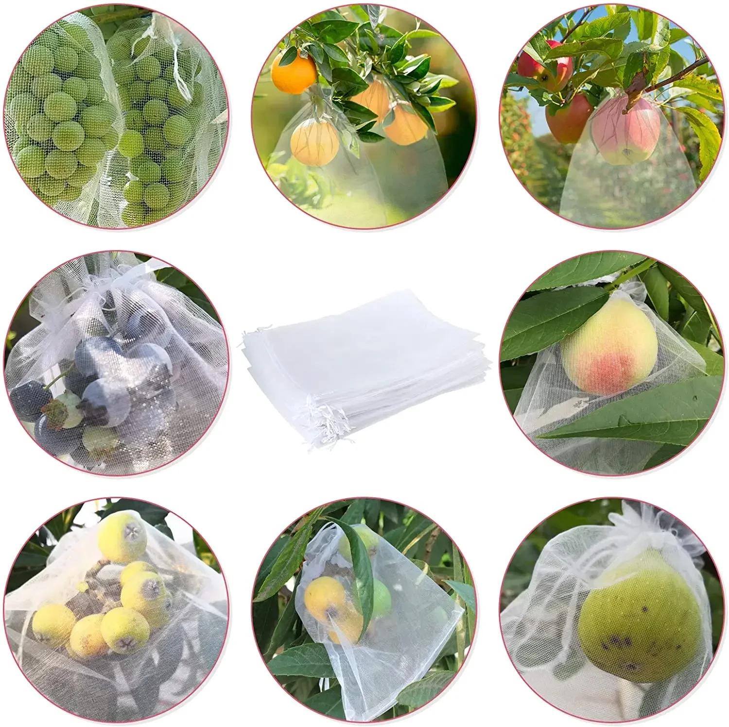 Sacs de Protection des fruits, 100 pièces, filet antiparasitaire, sacs de raisin Anti-oiseau, filet