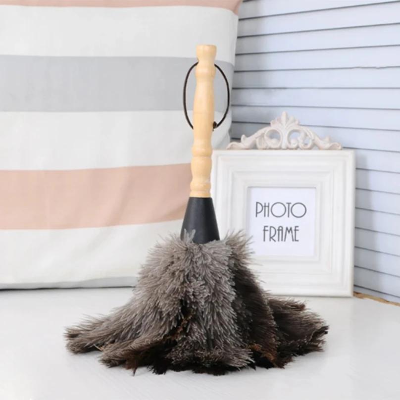 Plumeau en plumes d'autruche naturelles avec manche en bois, brosse à poussière écologique, fournitu