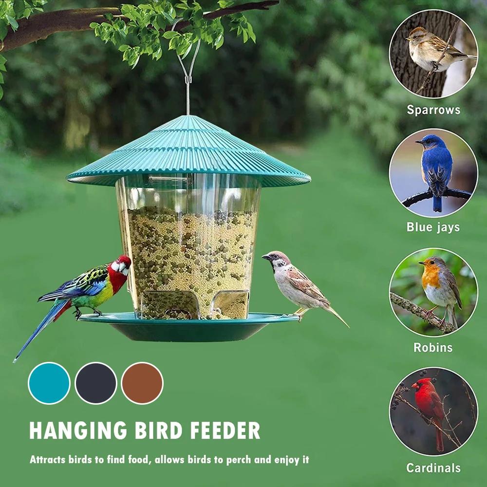 Mangeoire pour oiseaux, outil d'alimentation automatique des pieds, mangeoire pour oiseaux en plein