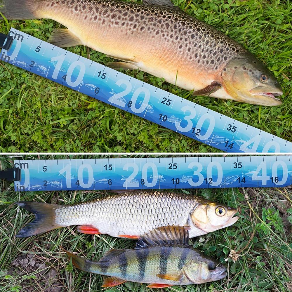 Règle de mesure de poisson étanche, 1 pièce, ruban à mesurer pliable, autocollant, accessoires de pê