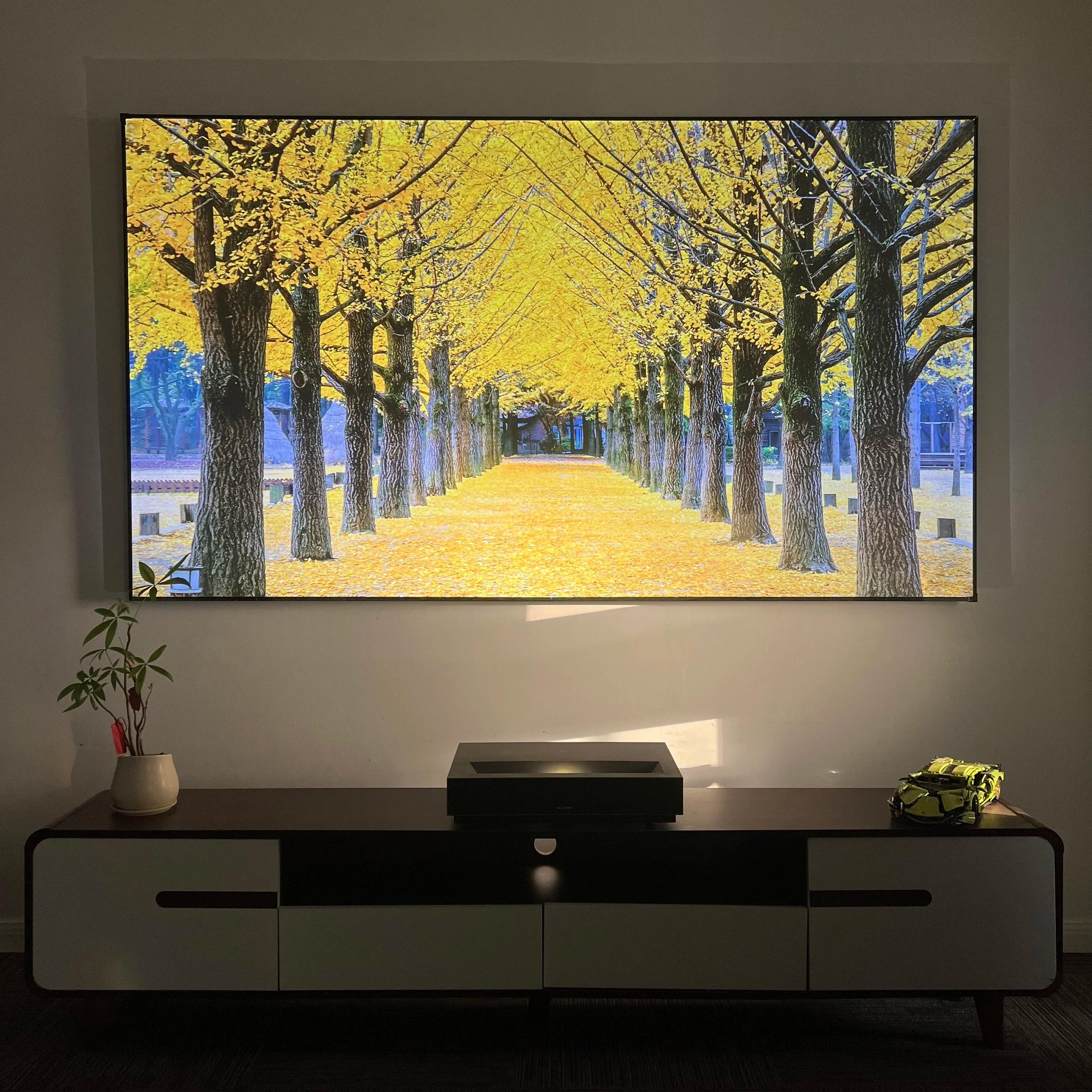 Écran de projection ALR UST Fresnel 5.0 Pro 2026 à cadre fixe, anti-lumière ambiante, idéal pour pro