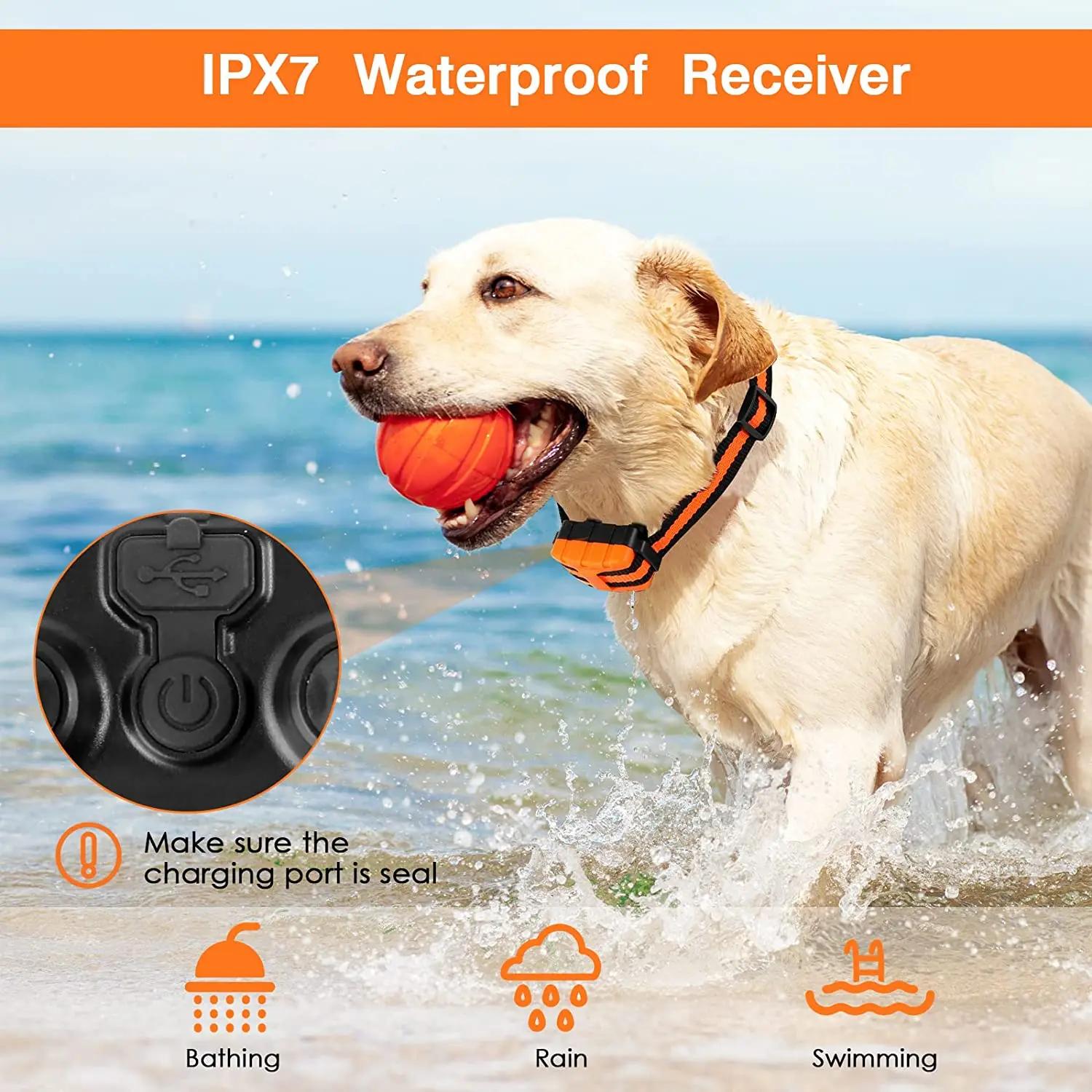 Collier de dressage électrique pour chien, 500m, étanche, télécommande pour animaux de compagnie, Re