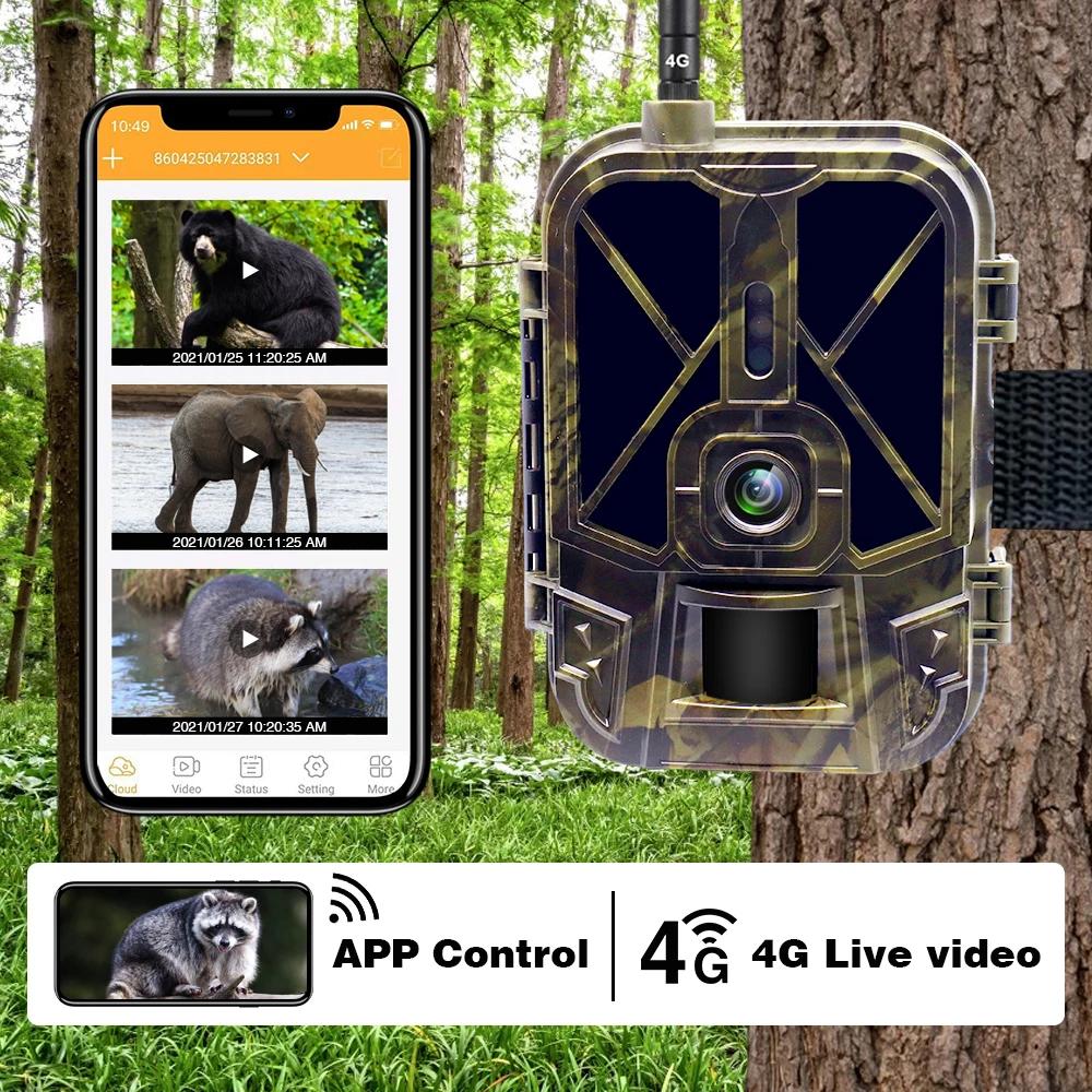 Caméra de surveillance 4K en direct 4G 30MP avec service cloud APP, caméras de chasse, batterie Li-i