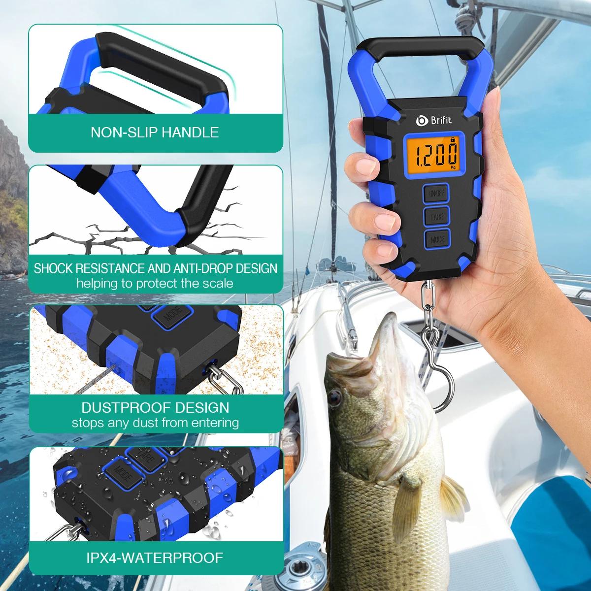 Balance numérique portable 50 kg avec règle, pour pêche, bagages, affichage LED, balance suspendue