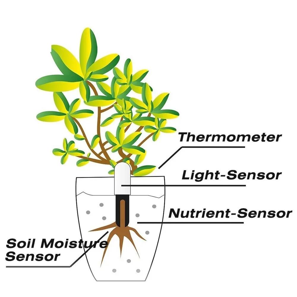 HHCC – moniteur intelligent de flora de fleurs, soins de jardin, plantes, herbe, sol, testeur de fer
