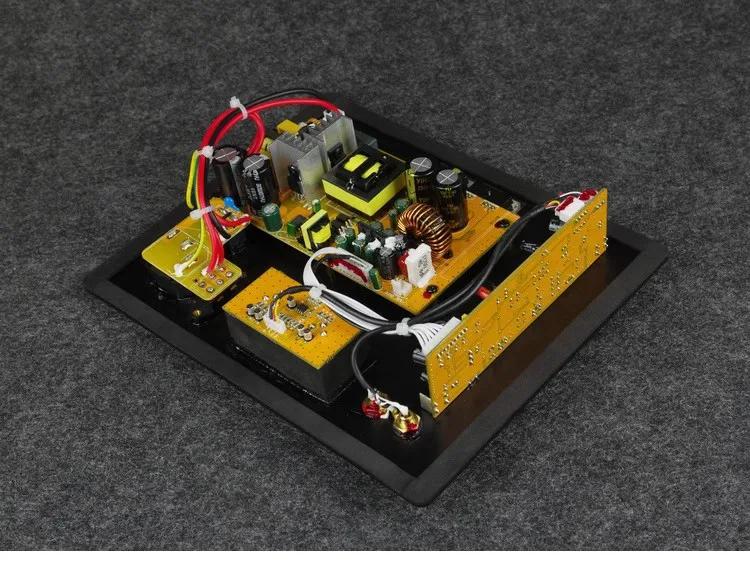 110/220V HIFI Mono 200W caisson de basses lourd carte amplificateur de puissance numérique active ba