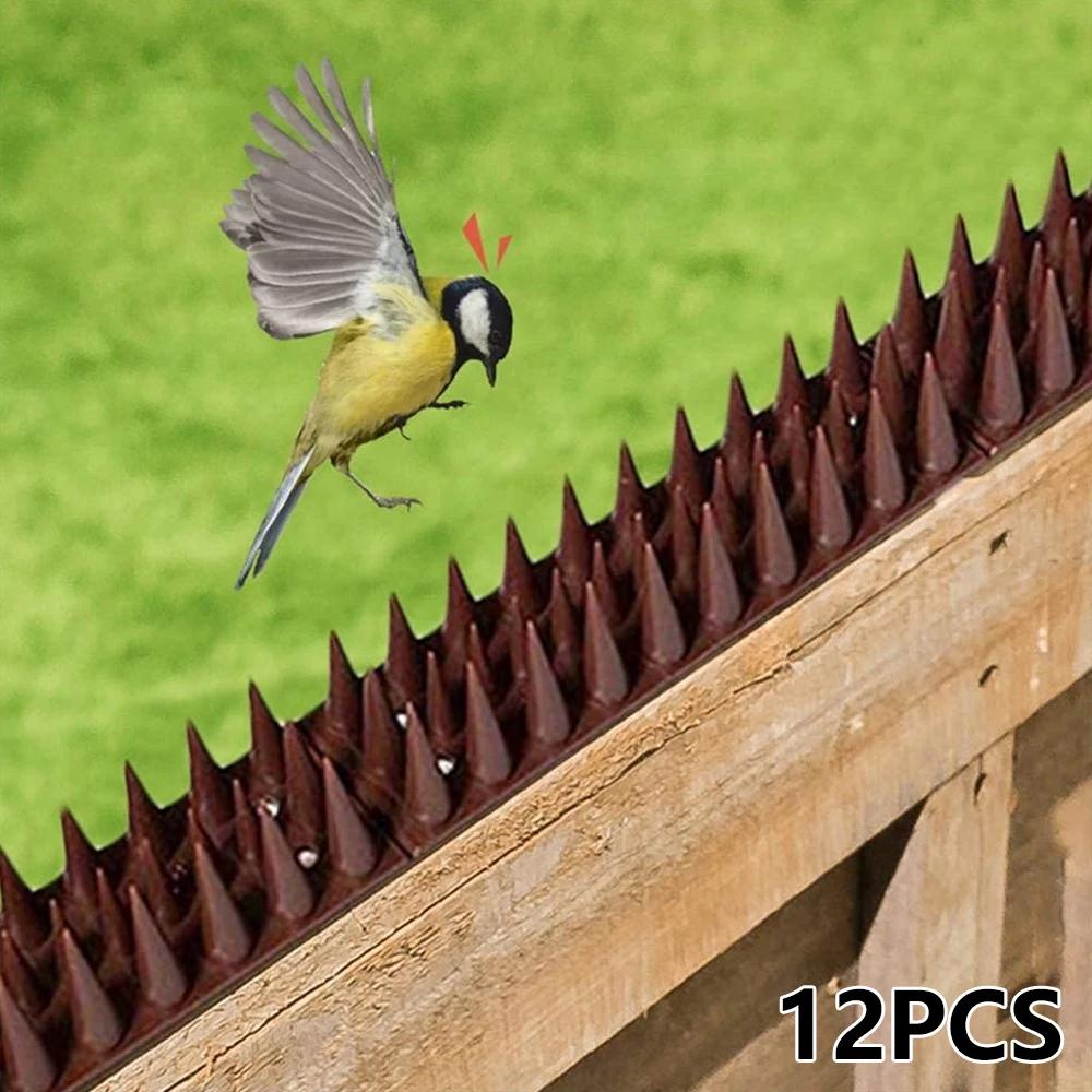 Pointes murales de clôture, 12 pièces, pointes de dissuasion d'oiseaux, Anti-cambriolage, Anti-escal