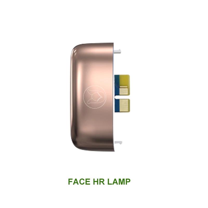 Accessoires pour l'épilation T14 : Lampes à quartz pour 500 000 utilisations, idéales pour le maillo