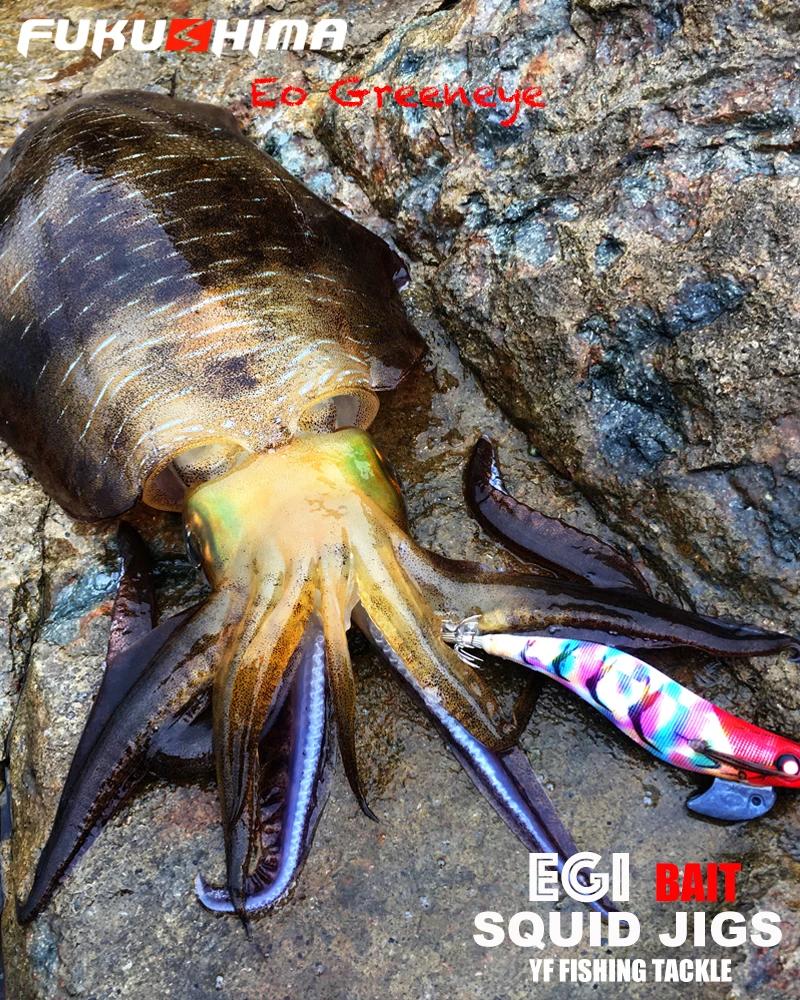 FUKUSHIMA 3.5 EO GREENEYES 20GRAM gabarits d'escalade brillant EGI leurre pêche au bois gramoir BAIT