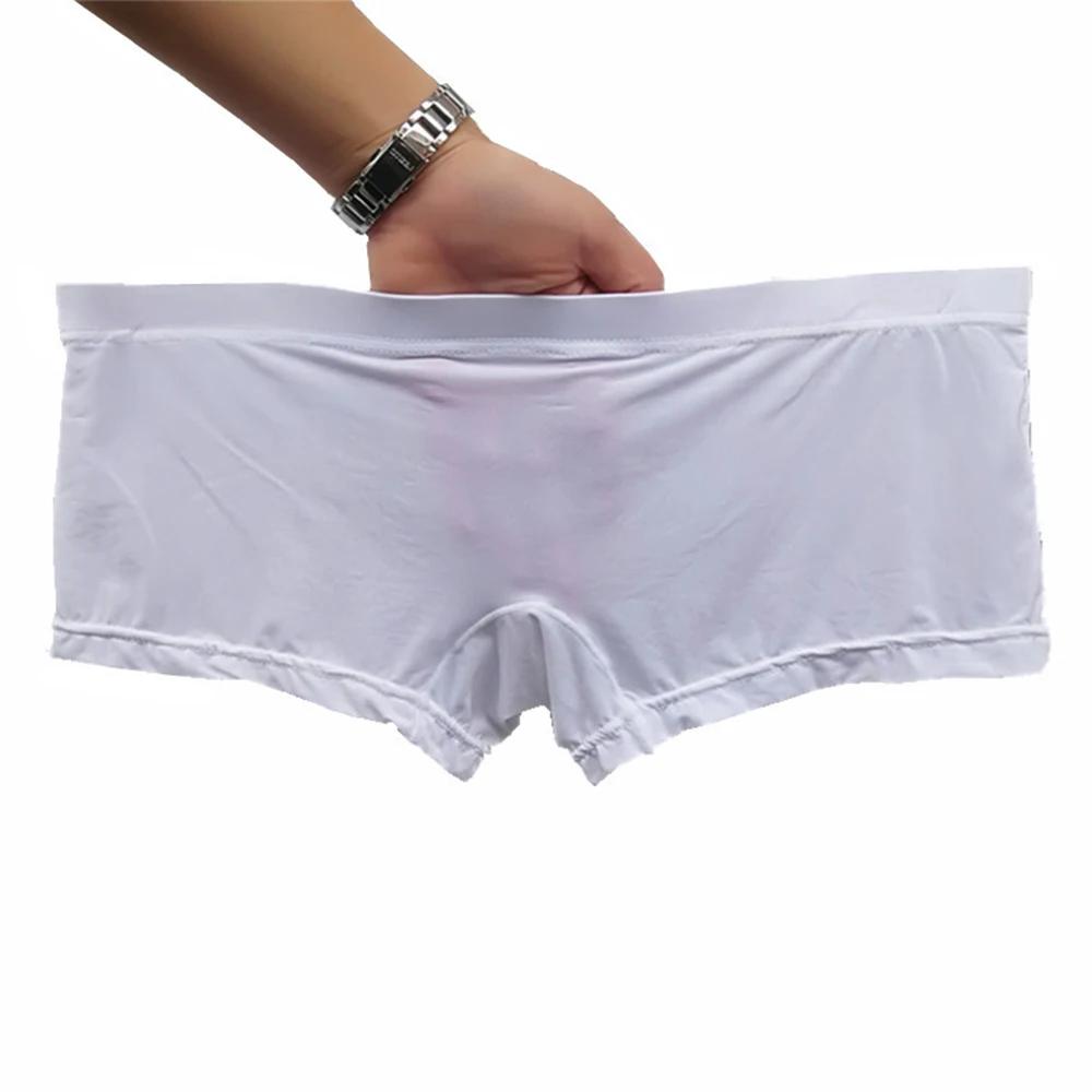 Sous-vêtements transparents pour hommes