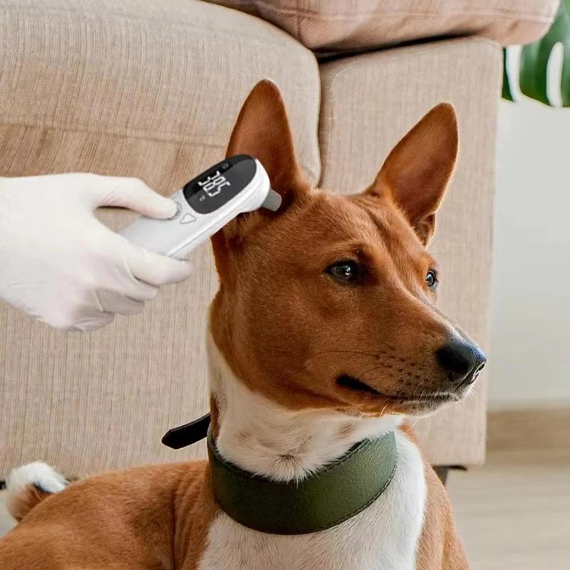Thermomètre numérique pour chiens Vet Tech - Appareil de détection de la fièvre précis pour animaux de compagnie