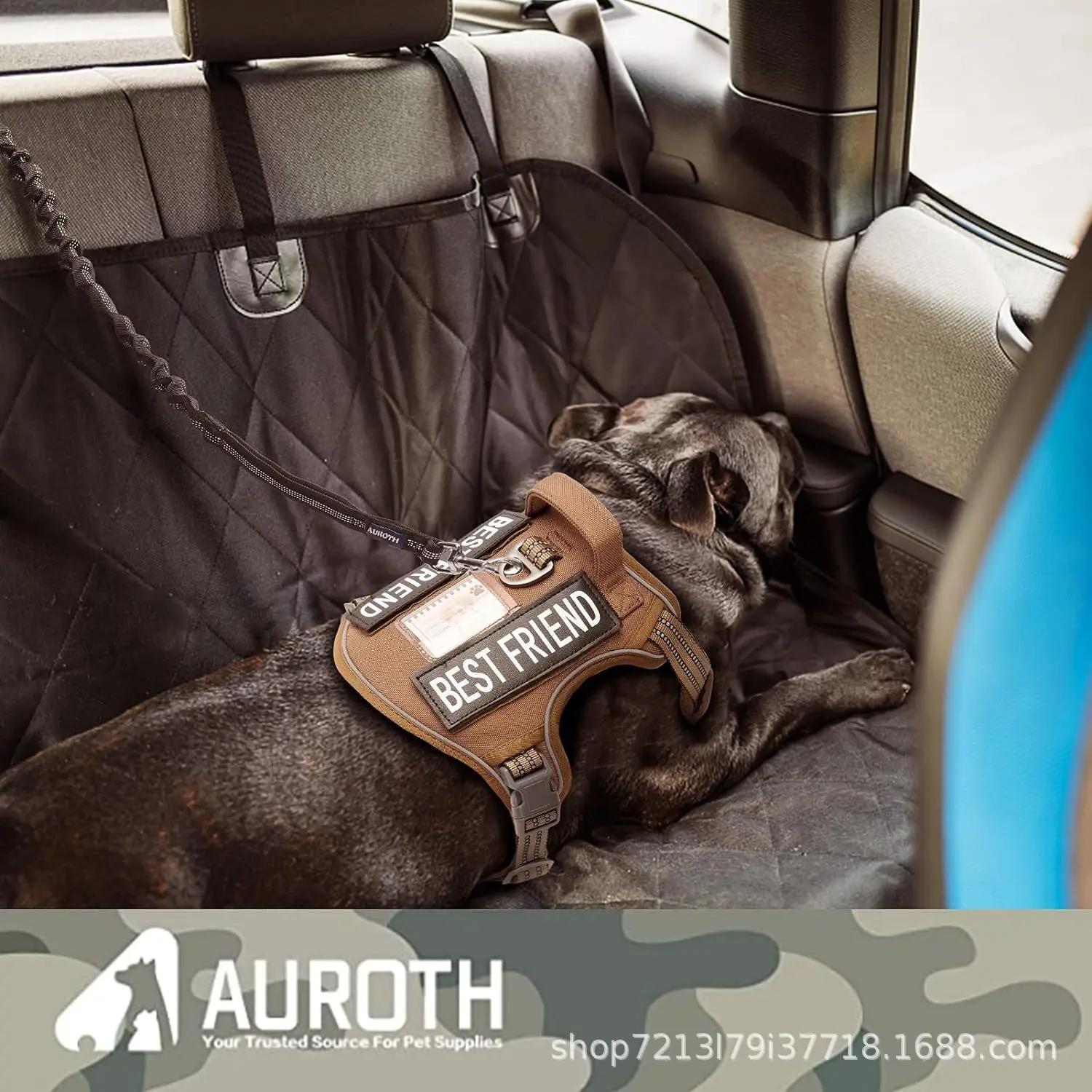 Laisse de chien d'entraînement à tampon élastique, accessoires de marche antidéflagrants pour chiens de taille moyenne et grande