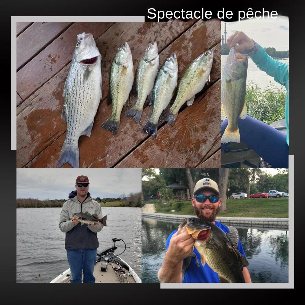 Spinpoler 2 "3" 4 "Seigneurs de pêche souples Jerk Minnow Shad Drop Shot appât souple Swimbait queue fendue pour bar tru
