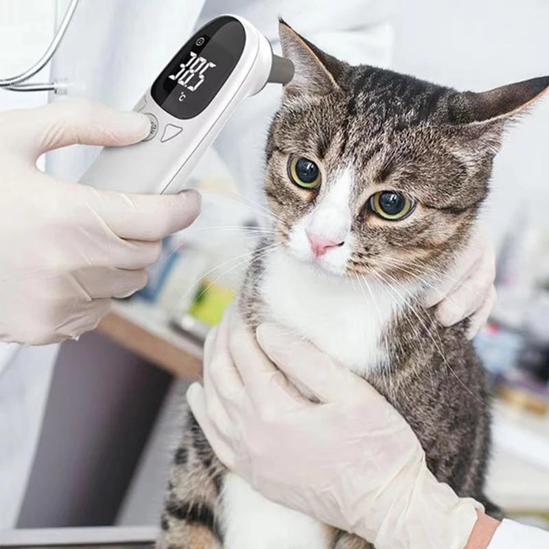 Thermomètre numérique pour chiens Vet Tech - Appareil de détection de la fièvre précis pour animaux de compagnie
