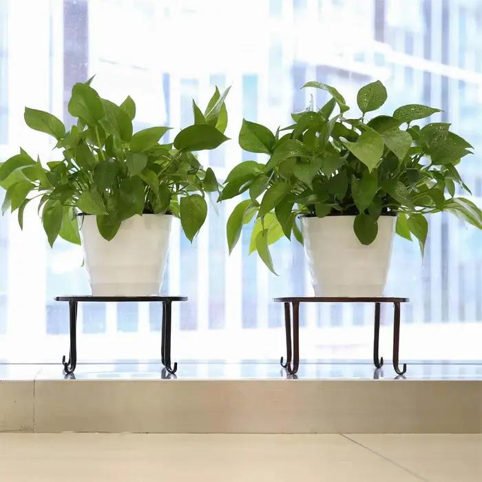 Support de plante en métal, 1 pièce, support de Base de Pot de fleur, tabouret pour maison, jardin,