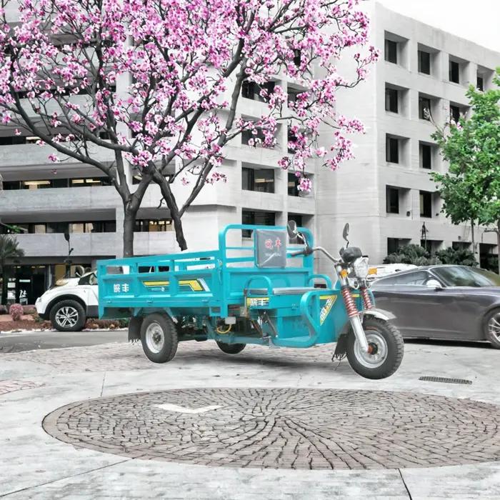 Tricycle Électrique Cargo 3000W Certifié CEE DOT Vélo de Passager Motorisé à 3 Roues Pour Adultes Corps Ouvert Occasions Spéciales