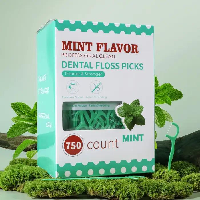 Bâton de fil dentaire à la menthe-bâton de fil dentaire jetable portable à domicile-soins bucco-dent