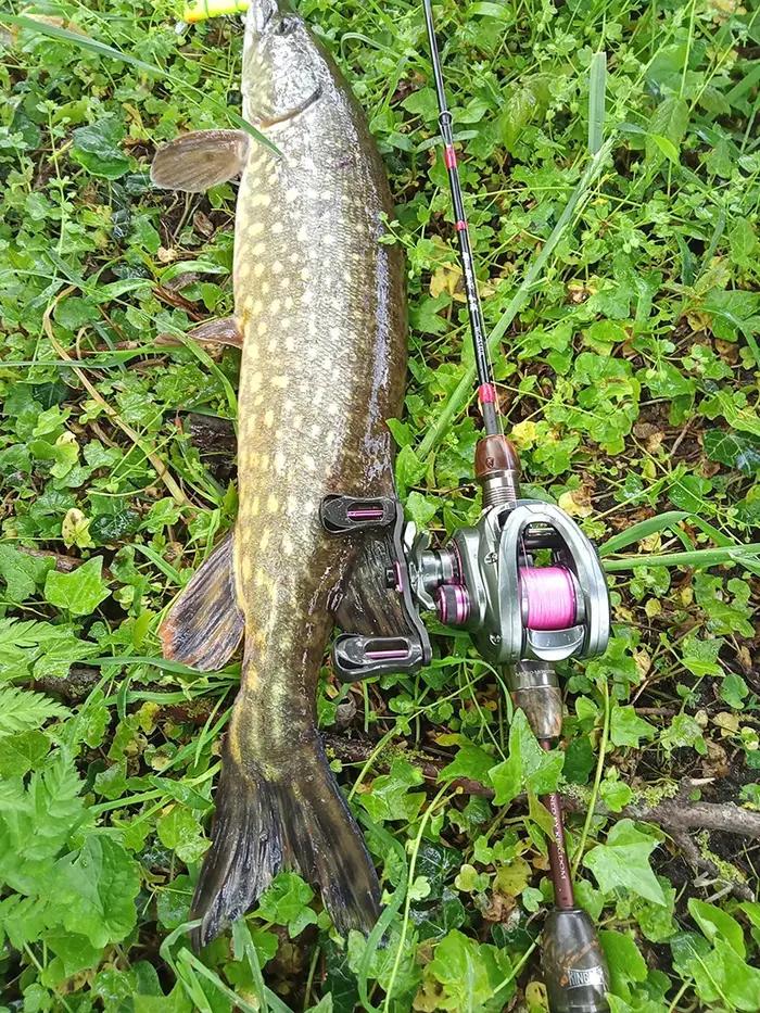 Kingdom 135g moulinet de pêche Ultra léger bobine appât Finesse Baitcasting moulinet Micro monstre 7