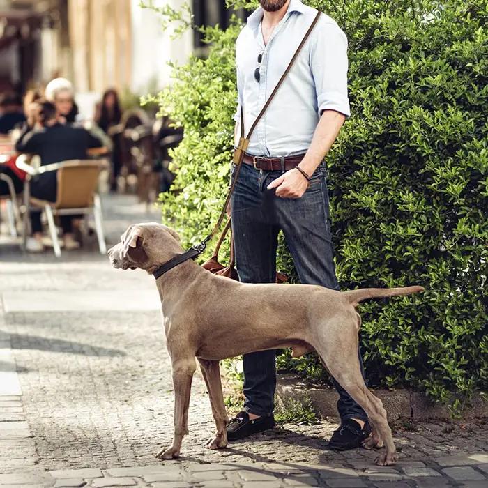 1.8M grande laisse de chien chaîne de taille Traction pour la course à pied réglage simplicité mains