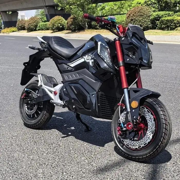 Moto Électrique Tout-Terrain Vitesse 70Km/H Pour Adultes Aventuriers En Plein Air Robuste Durables Écologiques Occasions Spéciales