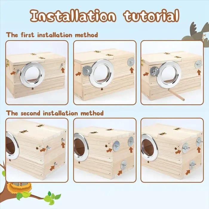 Boîte de nidification transparente pour perruche, nichoir en bois, perroquet, calopsitte, inséparabl