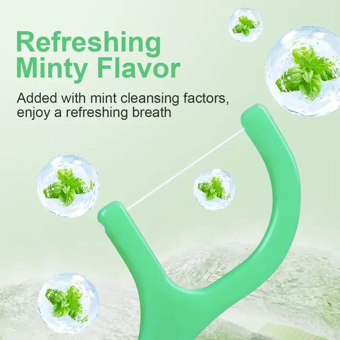 Bâton de fil dentaire à la menthe-bâton de fil dentaire jetable portable à domicile-soins bucco-dent