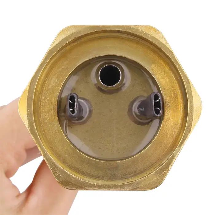 Chauffe-eau électrique avec sonde, élément chauffant par Immersion, Tube de Type U, prise à vis, 220