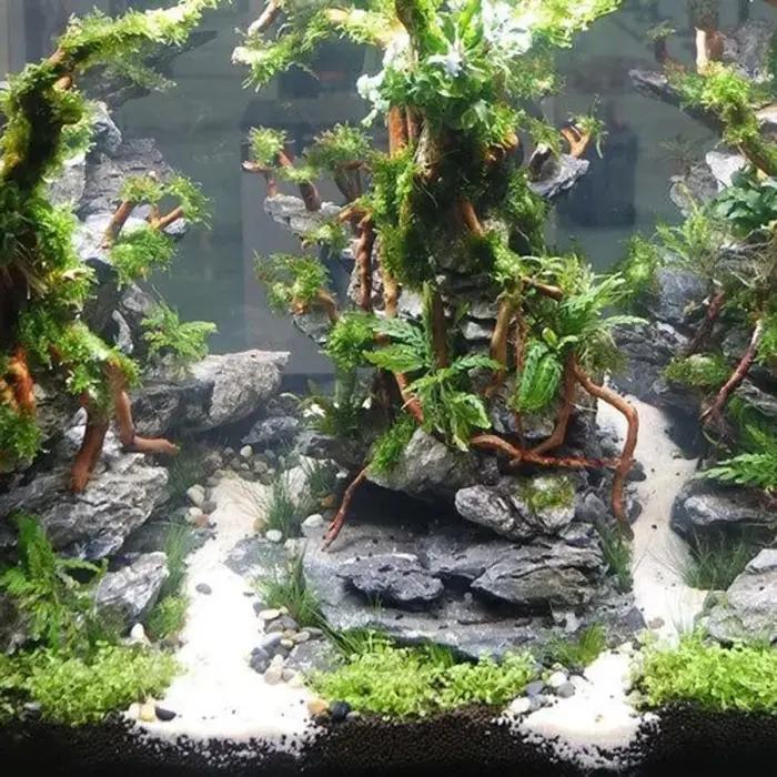 Arbre de tronc de racine de bois flotté naturel, micro paysage d'aquarium, ornements précieux de poi