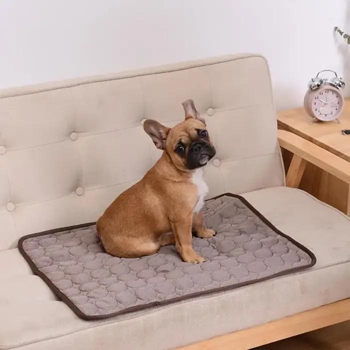 Livraison gratuite Tapis rafraîchissant pour animaux de compagnie, accessoire d'été, pour chiens et