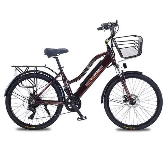 Vélo électrique 2 places 26 pouces 350W avec panier et amortisseur pour déplacements quotidiens en ville avec enfants ou conjoints