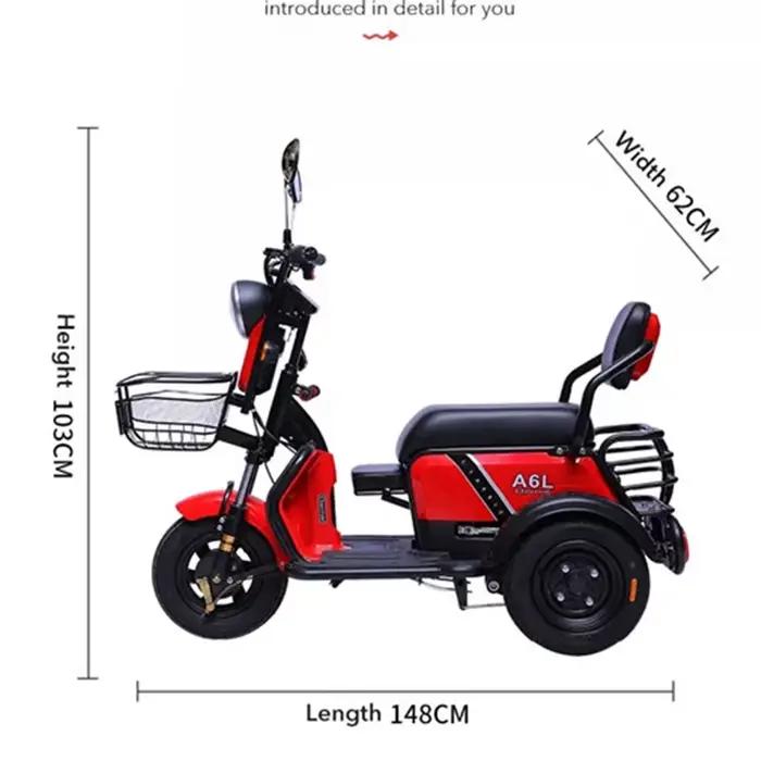 Mini Tricycle Électrique Adulte 3 Lieux 600W 48V Tout Terrain Famille Scooter Vélo Avec Batterie Amovible Occasions Spéciales Famille Expéditions Shopping