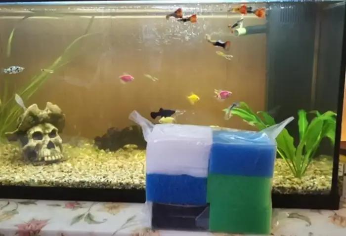 Accueil 1 ensemble de filtres d'aquarium compatibles pour Juwel Compact / Bioflow 3.0 (2 x fin, 1 x