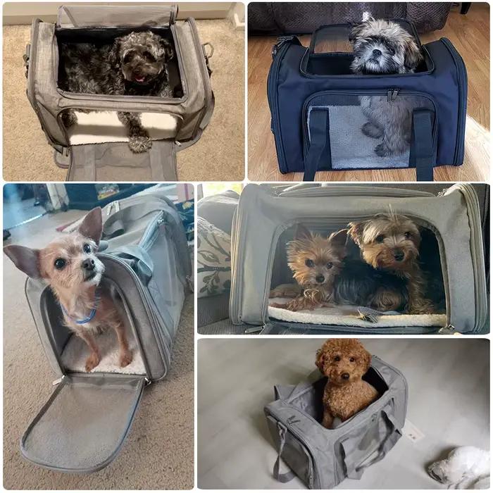 Sac de Transport pour chiens, sac à dos latéral souple, porte-animaux de compagnie, sacs de voyage p
