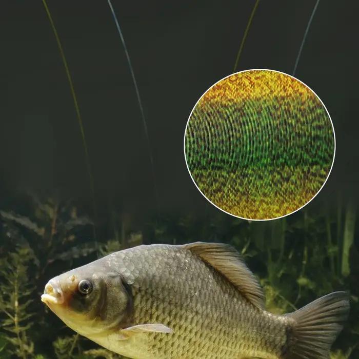 FTK 300/500m ligne de pêche Invisible ligne de revêtement en fluorocarbone moucheté 0.20mm-0.50mm 4.