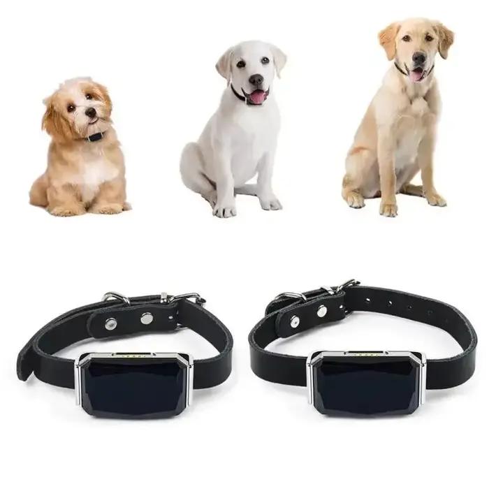 Collier pour animaux de compagnie étanche IP67, lumière Wifi, traceur GPS pour animaux de compagnie,