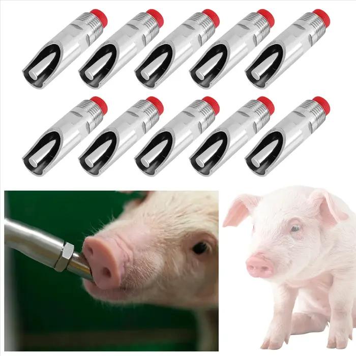 Distributeur d'Eau existent en Acier Inoxydable, Buse pour Boire, Porc 10