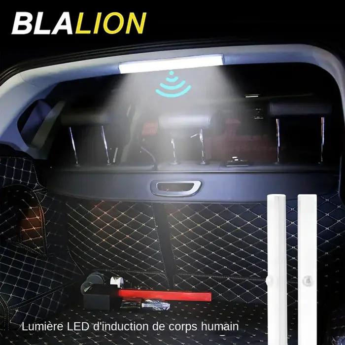SEAMETAL veilleuse voiture toit lampe à LED 3 Modes sans fil corps humain Induction USB coffre Auto intérieur