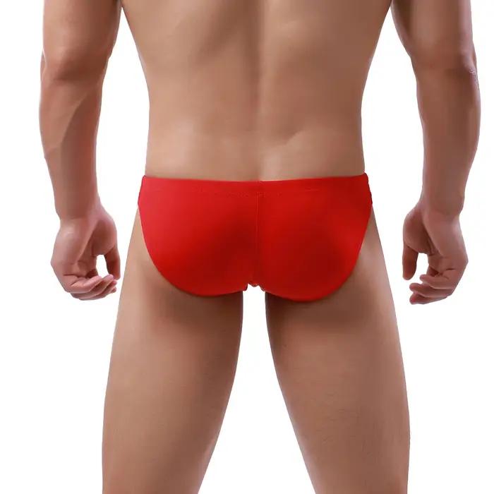 Sexy maillot de bain bikini hommes slip de bain maillot de bain maillot de bain Sunga plage surf vêt