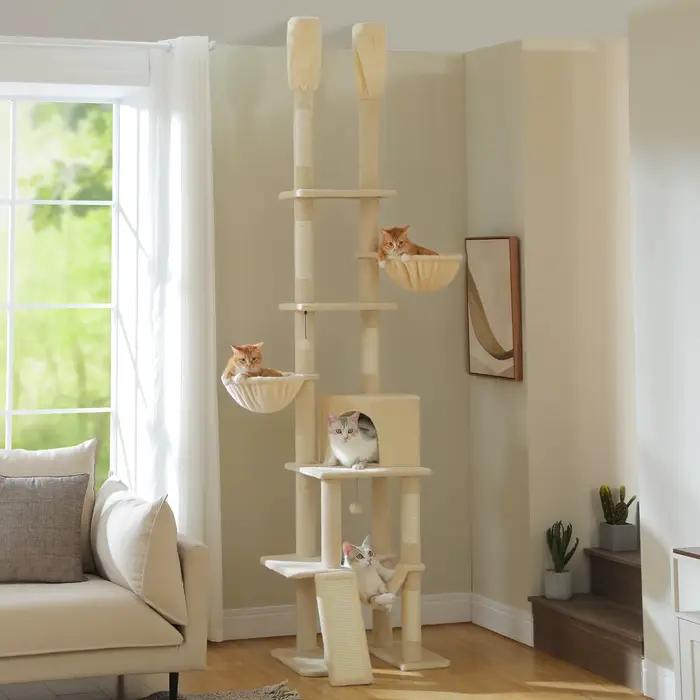 Arbre à chat Cactus du sol au plafond
