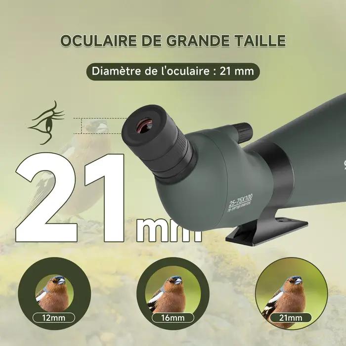 Lunette de repérage Svbony SV28A pour tir à l'arc observation de la faune aventures en plein air occasions spéciales