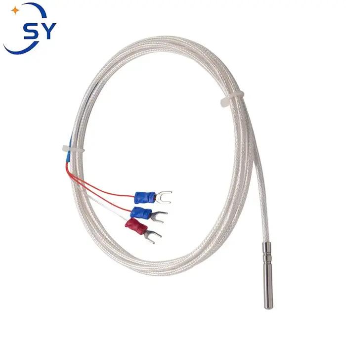 Sonde thermocouple en acier inoxydable, capteur de température RTD PT100, 0,5/1/2/3/4/5M, étanche, f